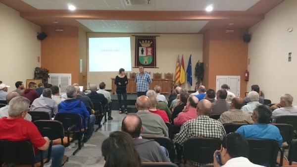 Más de 70 agricultores participan en Benifaió en un curso gratuito de poda del caqui en verde