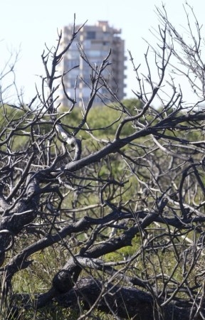 El Saler, sin cámaras de detección de incendios en uno de los años más secos