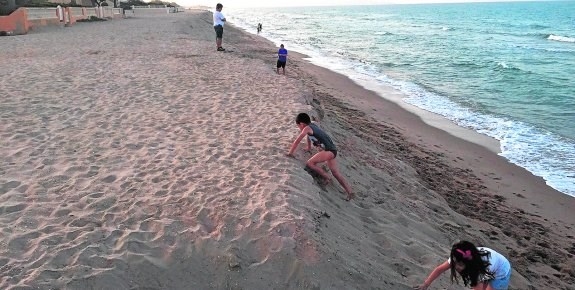 La erosión de la playa de Tavernes deja en la orilla un escalón de dos metros de altura
