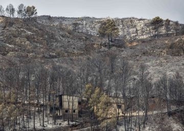 Un menor intenta causar otro incendio forestal en Carcaixent
