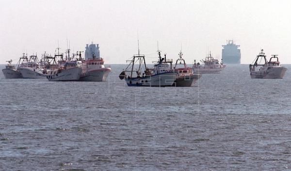 El sector pesquero valenciano pierde el 20% de capturas en un año