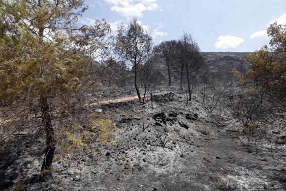 El incendio de Carcaixent de junio devastó un tercio de todo su término municipal