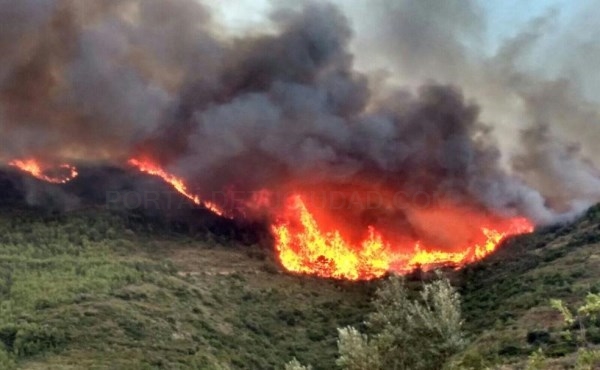El incendio de la Calderona ya ha arrasado 267 hectáreas del Parque Natural