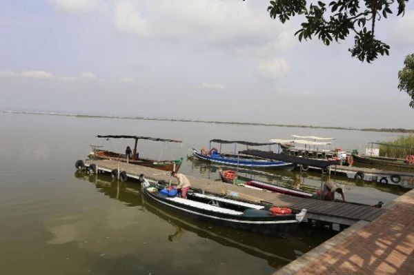 El Consell paraliza la declaración de la Albufera como reserva de la biosfera