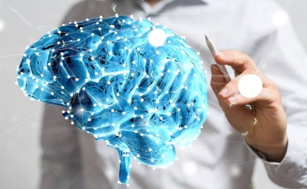 Crean la primera red social cerebro a cerebro