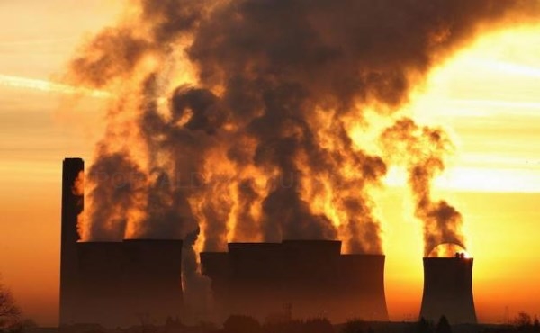 Un panel de abejas gigante, la solución para acabar con la contaminación