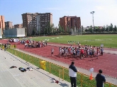 Competiciones locales