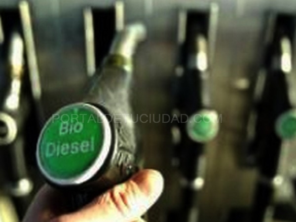 Gestión de los aceites usados. Valorización.