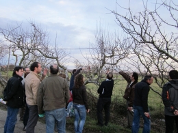 Taller básico de plagas en hortícolas y frutales