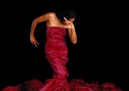 Danza flamenca: "Tradición y Vanguardia"
