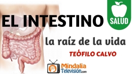 Conferencia: "Salud e inteligencia intestinal", Teófilo Calvo