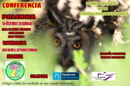 Fauna Salvaje de la Cordillera Cantábrica