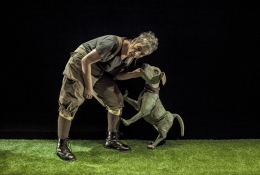 Teatro infantil: Historia de una semilla