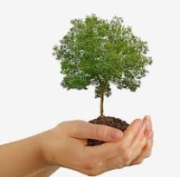 Día del Árbol:"Gynkana Familiar"