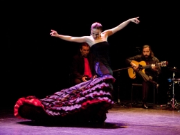 DANZA: "Lo esencial"