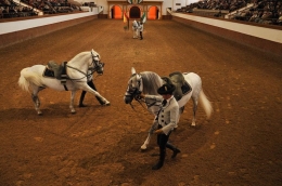 Real Escuela Andaluza de Arte Ecuestre con el espectáculo "CÓMO BAILAN LOS CABALLOS"