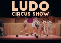 Ludo Circus Show