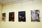 Exposición C.E.A.S Ayuntamiento