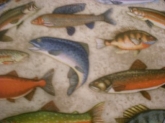 Conferencia jornadas. "Los Peces de Río y sus Problemas"