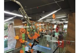 Taller pintar calabazas para familias