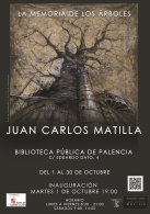 EXPOSICIÓN "LA MEMORIA DE LOS ÁRBOLES" DE JUAN CARLOS MATILLA