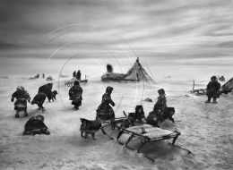 Exposición "Sebastiao Salgado. Génesis.Arte en la calle"