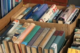 Feria del libro Palencia 2020