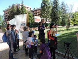 Conoce las aves de tu ciudad para familias.