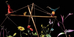 "ÁVOL", DE CIRCO BOVER