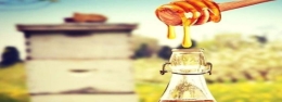 CURSO DE ELABORACIÓN DE BEBIDAS CON MIEL: HIDROMIEL Y CERVEZA CON MIEL