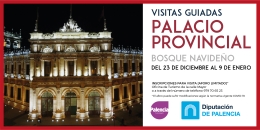 Visitas a la Diputación de Palencia
