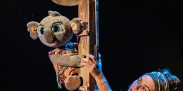 BUNJI LA PEQUEÑA KOALA