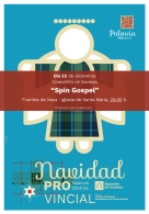 Concierto Solidario