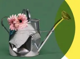 SABES QUE LAS FLORES DE PLÁSTICO NUNCA HAN VIVIDO, ¿VERDAD? Estreno en CASTILLA Y LEÓN