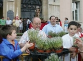 Festividad de San Juan - Reparto del Tomillo