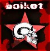 Concierto benéfico en Palencia con Boikot, Denuncia y Expediente Disciplinario