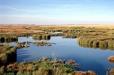Salida de Campo