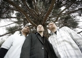 Concierto. Jazz. Tingvall Trio