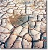"Moviéndonos por el agua"