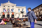 Festividad de la Patrona de Palencia. "Las Candelas"