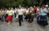 Verbenas Populares