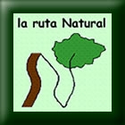 Presentación Guía de Jardines, Parques e Historia de Korea y Revista de Educación Ambiental, nº 2