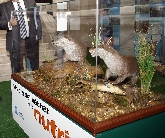 Exposición: “La nutria, una palentina muy especial”