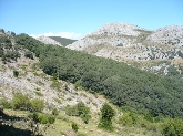 Ruta por el Valle de Tosande