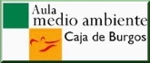 Actividades de Verano. Caja Burgos