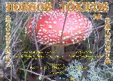 Hongos Tóxicos en Palencia