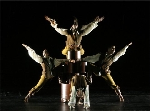 Ballet Contemporáneo de Burgos