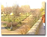 Día del Medio Ambiente. Salida Guiada por los parques de la ciudad