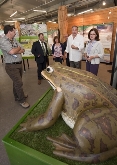 Exposición didáctica. Cantaba La Rana