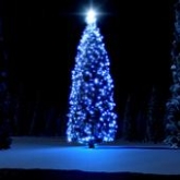 Espíritu de la Navidad en Familia
